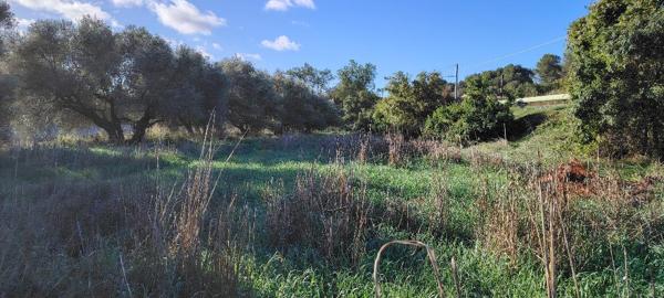 Roquevaire (13360) ROQUEVAIRE – Route du Stade – Terrain 911 m² – Idéal projet mixte habitation / professionnel