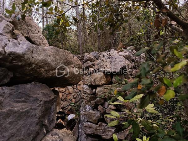 Terrain agricole de 7 800 m²