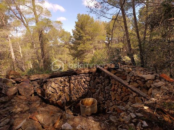 Terrain agricole de 7 800 m²