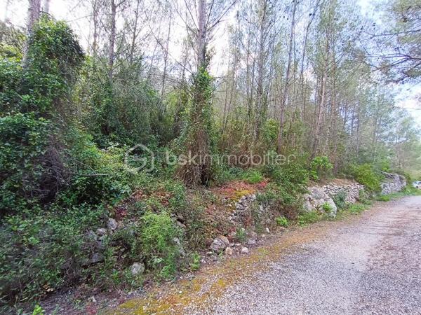 Terrain agricole de 7 800 m²