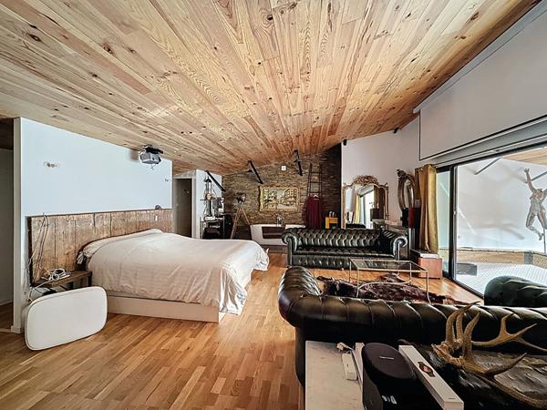 Loft Chazey Sur Ain 5 pièce(s) 400 m2, garage de 80m2, piscine, jacuzzi, love room