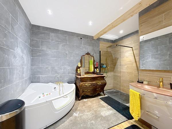 Loft Chazey Sur Ain 5 pièce(s) 400 m2, garage de 80m2, piscine, jacuzzi, love room