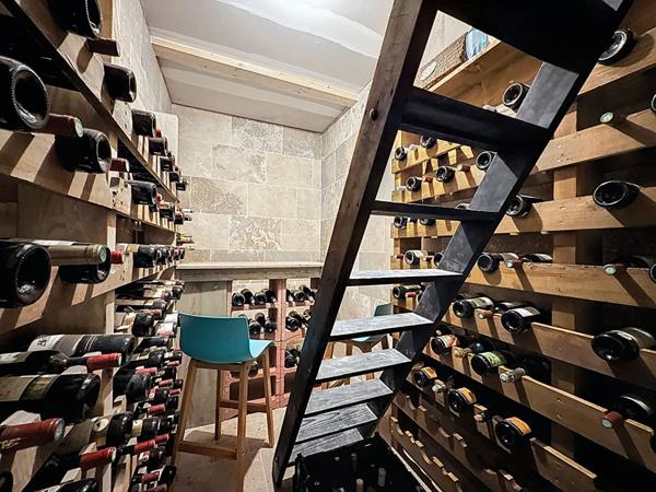 Loft Chazey Sur Ain 5 pièce(s) 400 m2, garage de 80m2, piscine, jacuzzi, love room