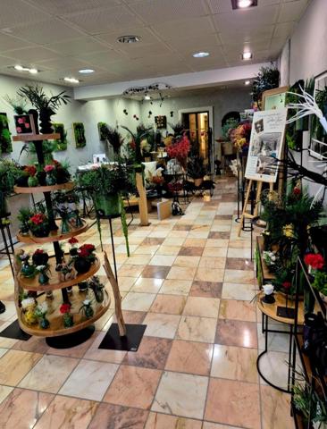 Immeuble à vendre - Plein coeur de la rue piétonne