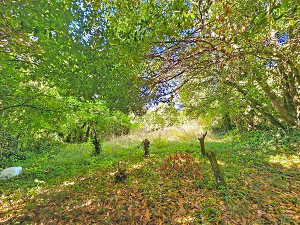 Maison à rénover non mitoyenne avec jardin, terrasse et garage – Lunas (hameau des Pascals)