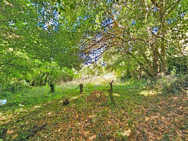 Maison à rénover non mitoyenne avec jardin, terrasse et garage – Lunas (hameau des Pascals)
