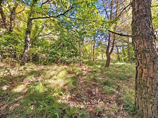 Maison à rénover non mitoyenne avec jardin, terrasse et garage – Lunas (hameau des Pascals)