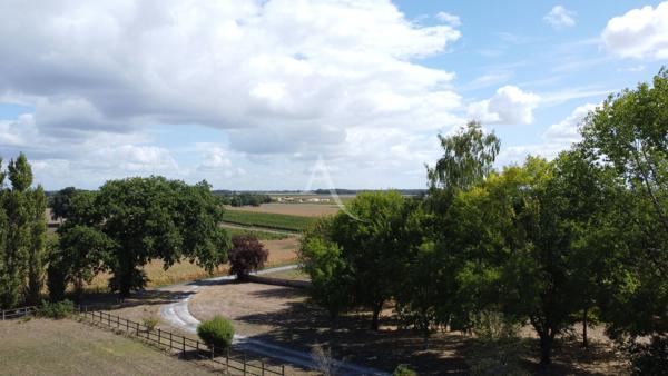 À vendre ? Propriété de caractère entre Saintes et Gémozac