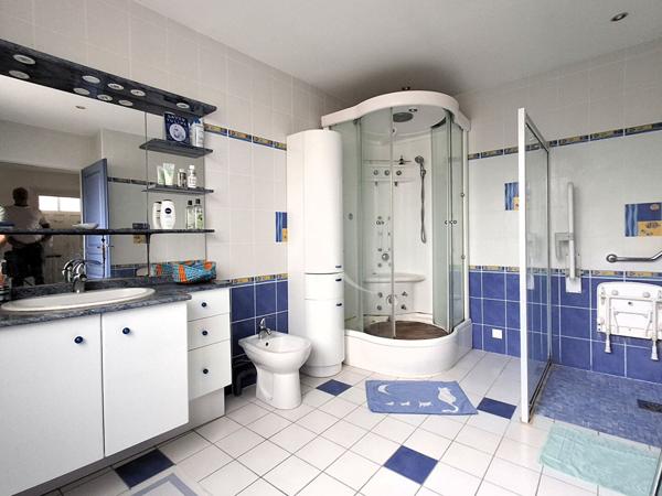 À vendre ? Propriété de caractère entre Saintes et Gémozac