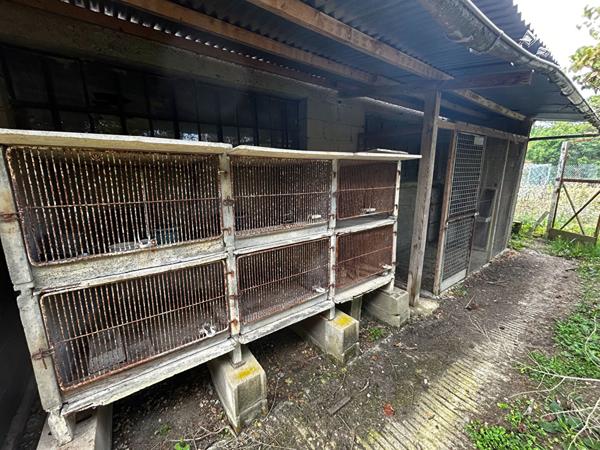 Charmante maison familiale en campagne avec grand terrain et hangar