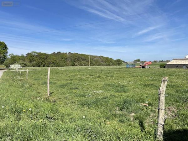 Maison à vendre à Allaire dans le Morbihan (56350), ref : 156a