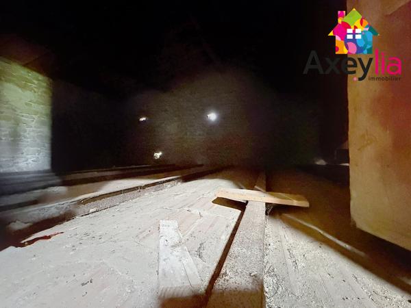 Renaison (42370) A VENDRE - RENAISON - MAISON D'HABITATION ET GRANDES DÉPENDANCES À RÉHABILITER AVEC TERRAIN
