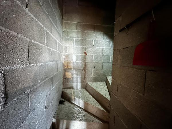 Pavillon à vendre à Courtenay dans le Loiret (45320), ref : 2400021