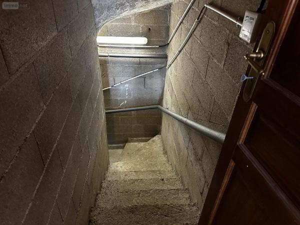 Pavillon à vendre à Courtenay dans le Loiret (45320), ref : 2400021