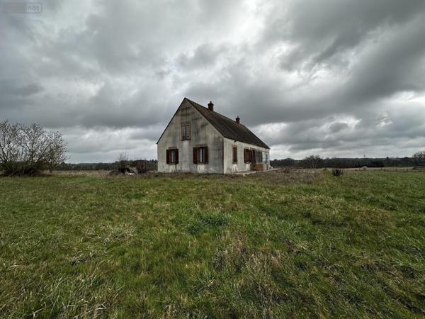 Pavillon à vendre à Courtenay dans le Loiret (45320), ref : 2400021