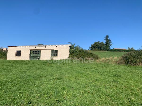 A SAINT GERMAIN LAVAL (42) MAISON de 120 M2 avec terasse TERRAIN de 3 HA et BATIMENT de 75 M2