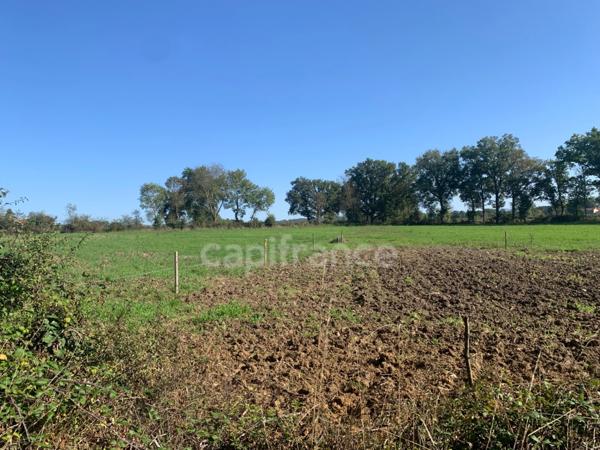 A SAINT GERMAIN LAVAL (42) MAISON de 120 M2 avec terasse TERRAIN de 3 HA et BATIMENT de 75 M2