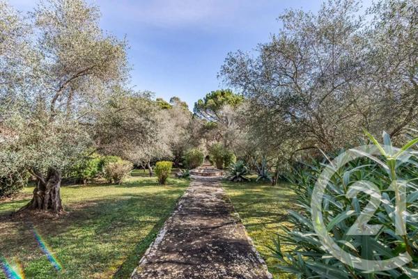 Maison à vendre  7 pièces - 337 m2 MOUGINS - 06
