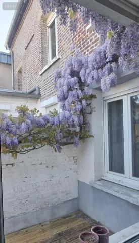 Achat - Maison Arras 62000 5 pièces 150 m 2 563 m 2