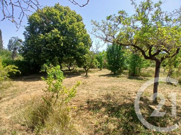 Terrain à vendre  1113 m 2   DOMERAT  - 03