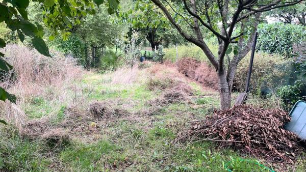 Maison lumineuse avec potentiel 2 chambres