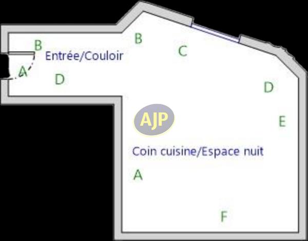 Vente appartement Paris 8eme : 99 500 € - AJP Delon Immobilier Grenelle