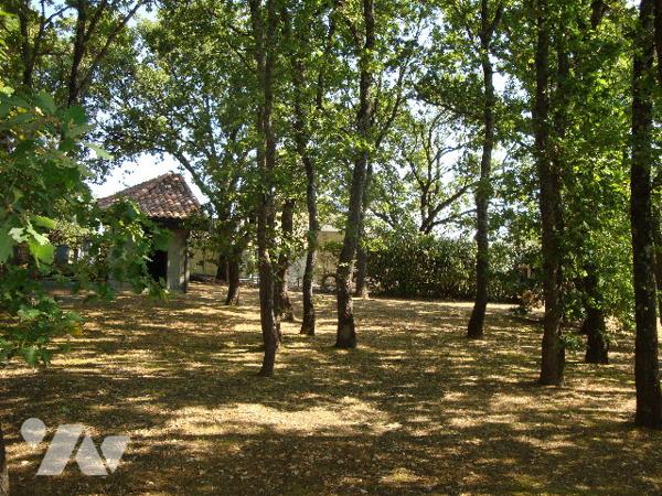 COLOMIERS  quartier résidentiel, villa 2004, T9, 5 chambres, piscine, sous-sol 100 m2, parc, annexes