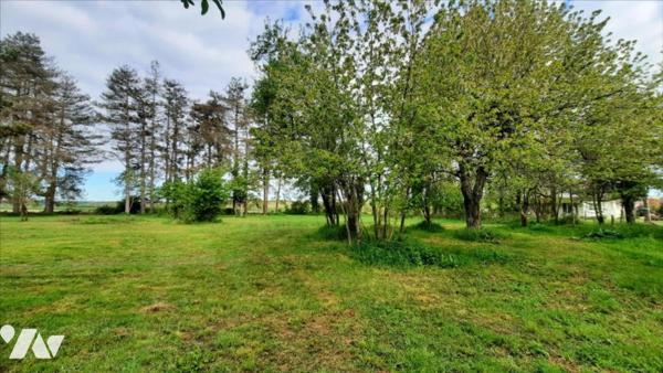 Terrain à bâtir dans environnement paisible