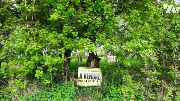 Terrain à bâtir dans environnement paisible