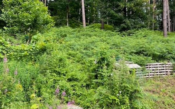 Maison à vendre    6 pièces •  Maromme