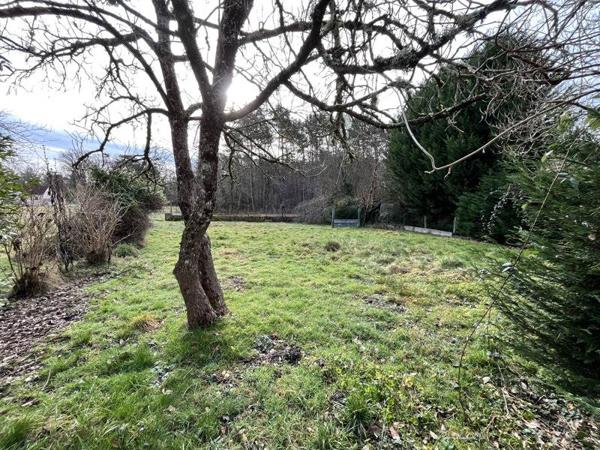 Maison à vendre |  Neuvy-sur-Barangeon |  5 pièces | 89 m²