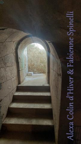 Pour les amoureux de l'authenticité !