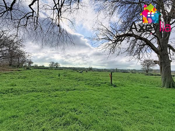 Saint-Romain-la-Motte (42640) A VENDRE - SAINT-ROMAIN-LA-MOTTE - CORPS DE FERME AVEC MAISON, DÉPENDANCES, 10 HECTARES ET PUITS
