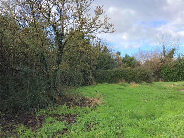 Terrain à Batir à vendre à Thorigné-Fouillard en Ille-et-Vilaine (35235), ref : 150/1884