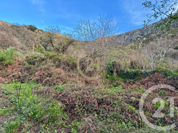 Terrain à vendre  1415 m 2   VILLE DI PARASO  - 202