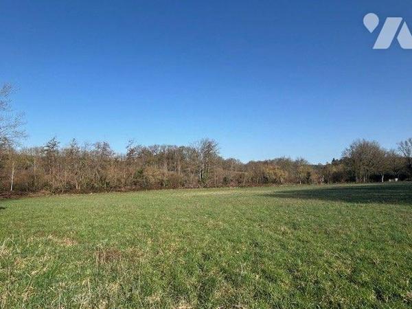 MAISON A VENDRE BAUGE EN ANJOU
5 Minutes centre de Baugé
Maison située dans un bel environnem...
