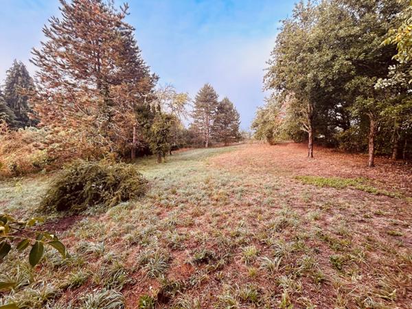 Maison 5 minutes d'Aubusson havre de paix