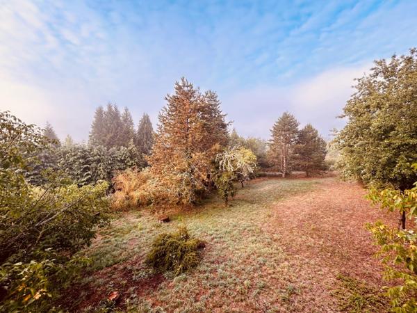 Maison 5 minutes d'Aubusson havre de paix