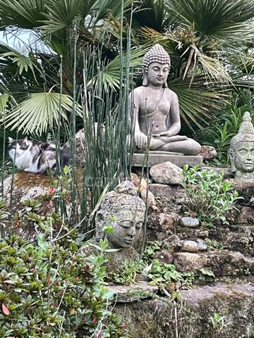 Maison à vendre maison de 7 pièces FOUESNANT (29)