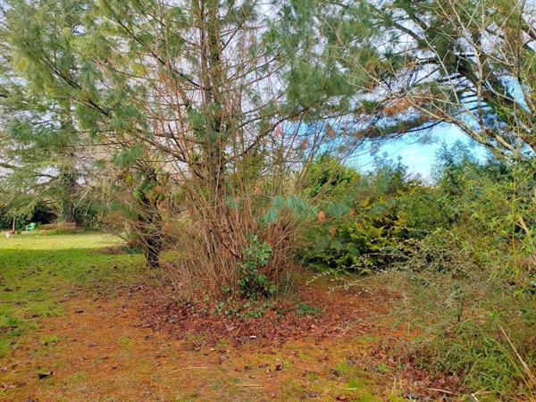 TERRAIN A BATIR 540 m²  "LIBRE CONSTRUCTEUR"