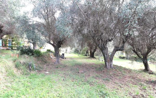 Maison à vendre    7 pièces • 245 m2 Contes