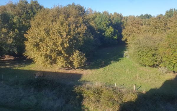 Appartement à vendre    2 pièces • 51,33 m2 Villenave-d'Ornon