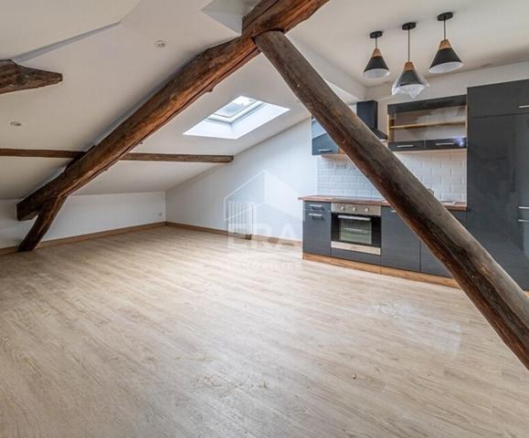 Magnifique appartement sous les combles, refait à neuf - 41m2 - Tarare