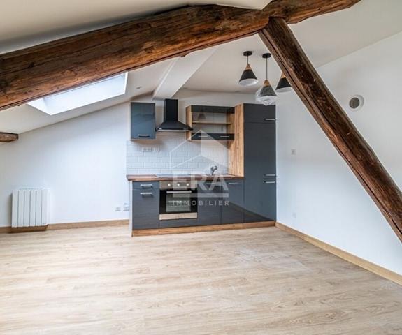 Magnifique appartement sous les combles, refait à neuf - 41m2 - Tarare