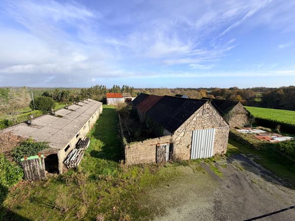 Maison à vendre 0 pièces (56)