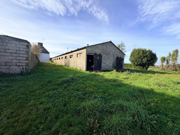Maison à vendre 0 pièces (56)