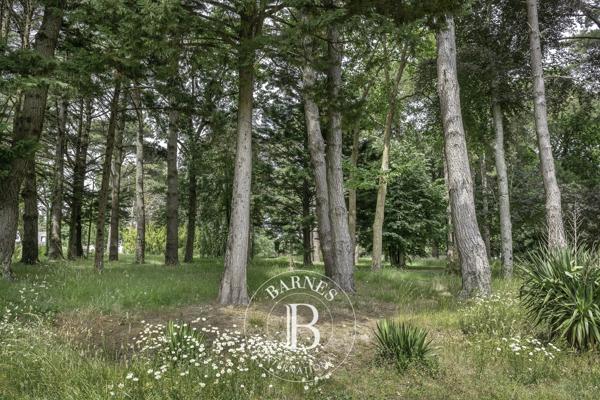 Pénestin, Maison 5 Chambres -  400 m² à vendre