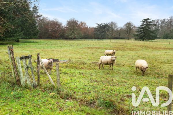 Maison à vendre 7 pièces 122 m² Bouaye