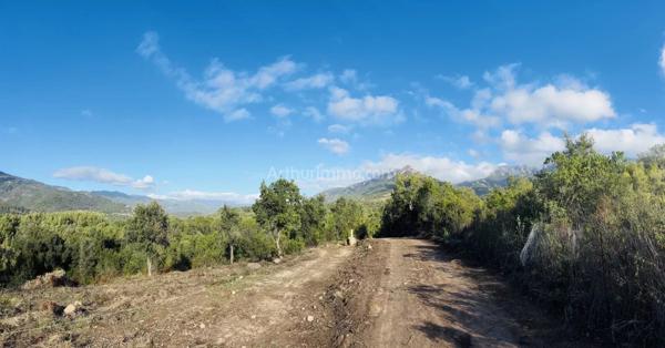 Vente Terrain 1490 m2 à Peri