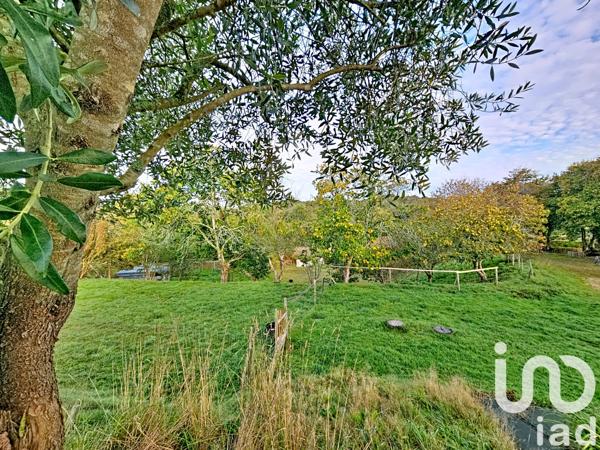 Maison à vendre 6 pièces 113 m² Scaër